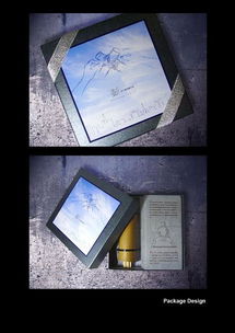 Soar Design Studio 您的全方位专业设计合作伙伴